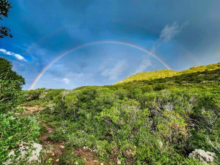 Rainbow over green hills and cloudy sky, beautiful natural scenery.
