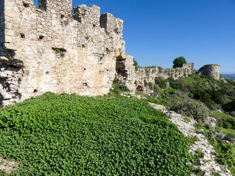 Ancient castle ruins surrounded by green vegetation under a bright blue sky.